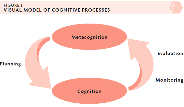 K-1 Number Sense Trajectory  Questioning My Metacognition