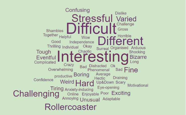 Figure 1 shows a word cloud produced in response to the question asking pupils to sum up the guided home learning experience in one word. Most popular words include: Difficult, Interesting, Different, Stressful, Varies, Hard, Challenging, Rollercoaster. 