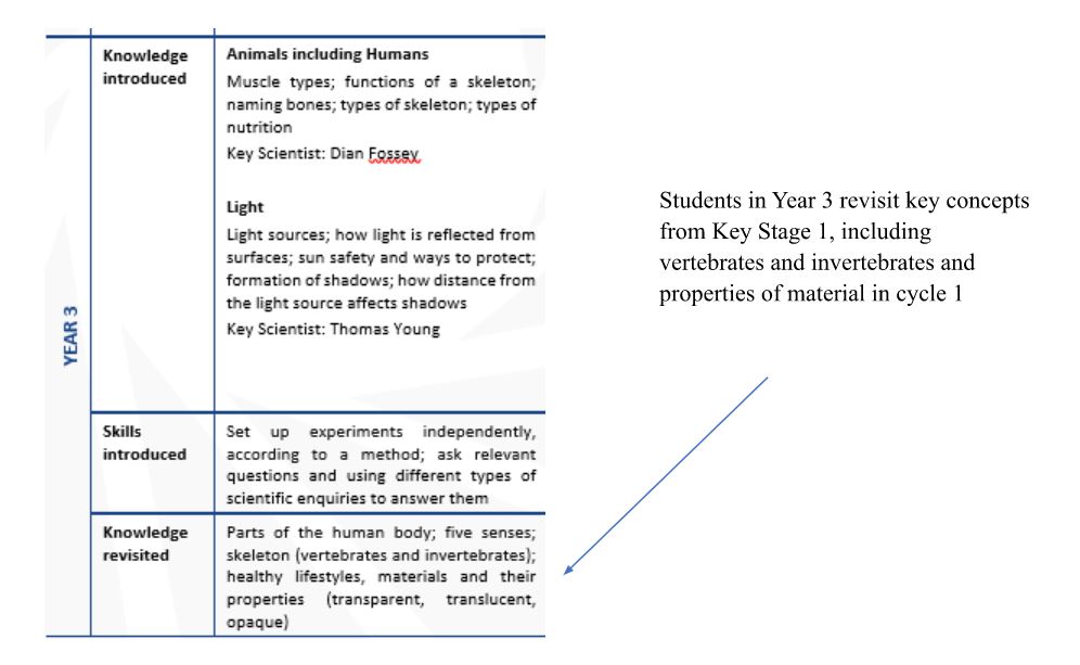 Figure 1 is an example from the science curriculum overview showing a table titled 'Year 3' with the columns 'Knowledge introduced', 'Skills introduced' and 'Knowledge revisited'. A second column lists examples for each of these. An arrow leads from the annotation 'Students in Year 3 revisit key concepts from Key Stage 1, including vertebrates and invertebrates and properties of material in cycle 1" on the right side of the table to the examples listed under 'Knowledge revisited'.