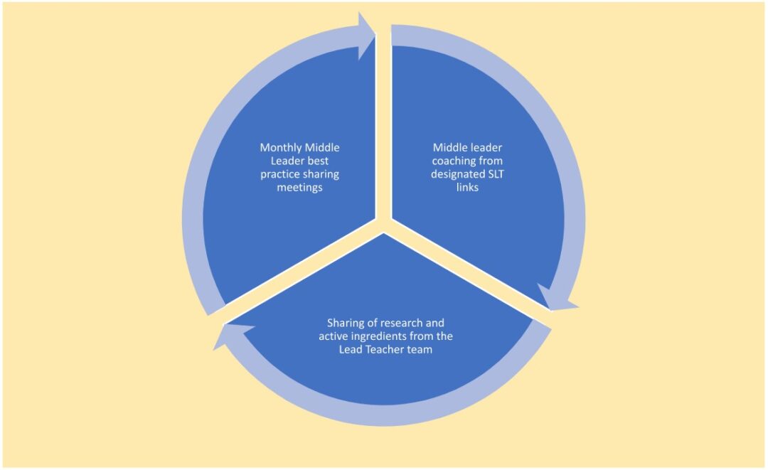 Figure 2 is the middle leader development cylce, with three segments detailing steps.