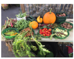 This image shows a range of fruit and vegetables grown on the school premises for a community ‘Pop up soup kitchen’. 