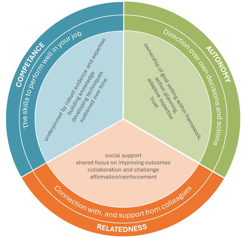 Figure 1 is the Raleigh Education Trust professional learning framework.