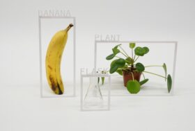 A banana, a plant and a flask on a monochrome surface, each one surrounded by a thin white frame with letters attached that spell the name of the objects.