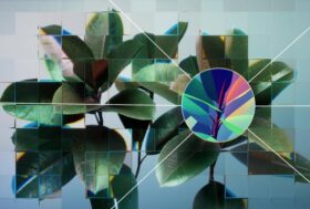 A photographic rendering of a young houseplant against a neutral background, seen through a refractive glass grid and overlaid with an single neuron from a neural network diagram.