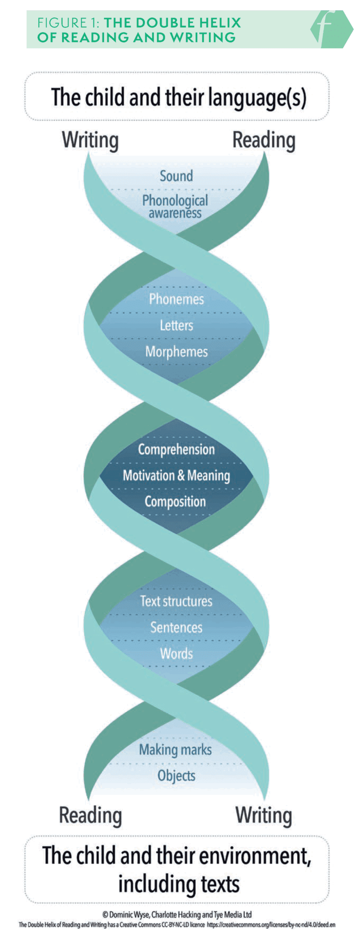 Figure 1 is a diagram of the double helix of reading and writing.