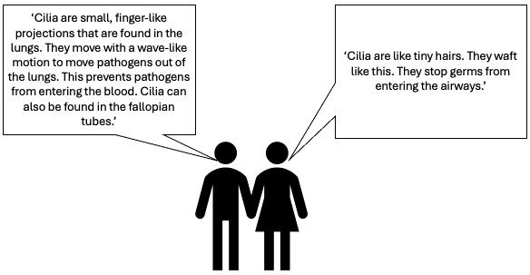 Figure 1 shows a conversation between two people about cilia. The right person says: "Cilia are small, finger-like projections that are found in the lungs. They move with a wave-like motion to move pathogens out of the lungs. This prevents pathogens from entering the blood. Cilia can also be found in the fallopian tubes." The left person says: "Cilia are like tiny hairs. They waft like this. They stop germs from entering the airways."
